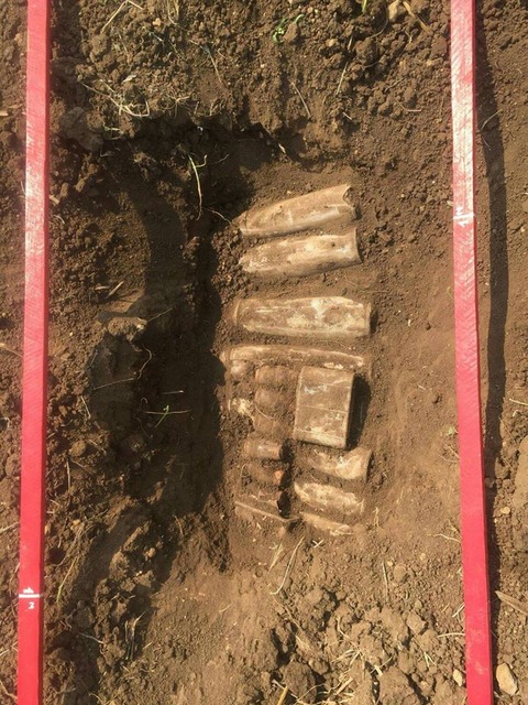 16939494_1336691873035915_8803561391840481690_n