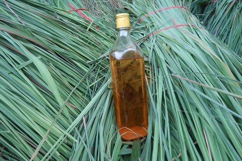 23376418_1581544305217336_7660919734363812676_n