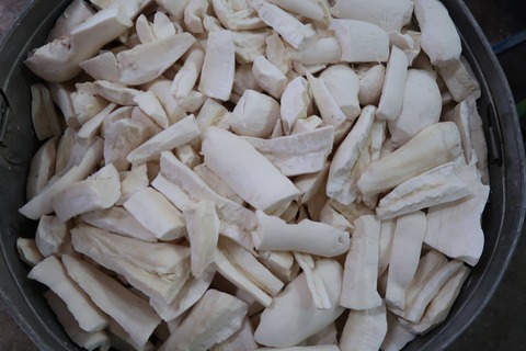 23275751_1580464278658672_1076067125648753197_o