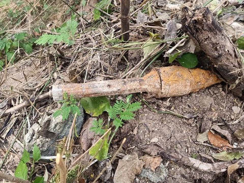 275226816_5111130568925341_8602274442135560820_n