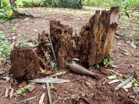 311337267_5744561552248903_2635558943388612741_n