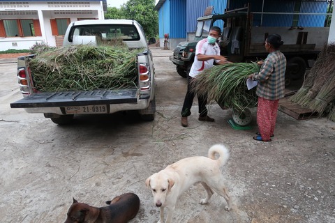 23331282_1582453818459718_6666065258017664466_o