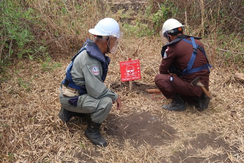 166888886_4017819198256489_3602412067389159779_n