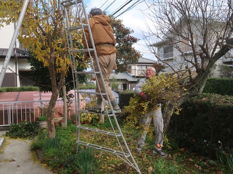 600405725_25680908561520907_6456468622612940462_n