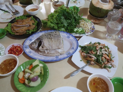 577003189_25313814341563666_2074176662673619551_n