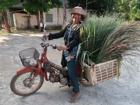 23472417_1582453745126392_8881313216724929301_n