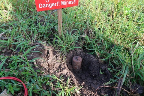 75362177_2636677703037319_2602125645886521344_o