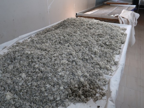 328450867_1228792197844600_3054617796376715665_n