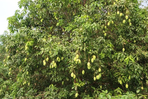 276127782_5146884035349994_711052030506035100_n