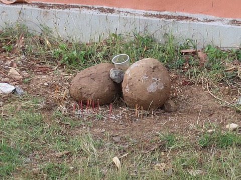 330840059_577180621094671_50920312066817466_n