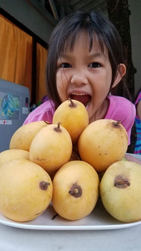 92800943_3032255670146185_2078071410219024384_o