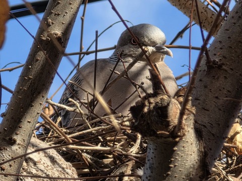 601896868_25680883008190129_737338171726244520_n