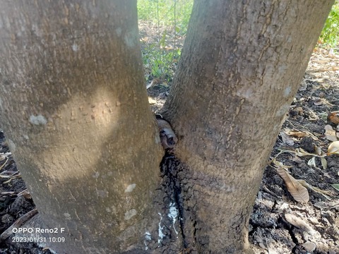 328103933_903450107769975_227606666372700117_n