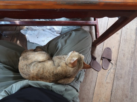 329696274_880665316380616_1732330581890784880_n