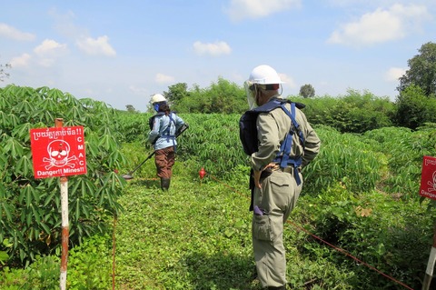 14712824_1189539721084465_755653816323139515_o