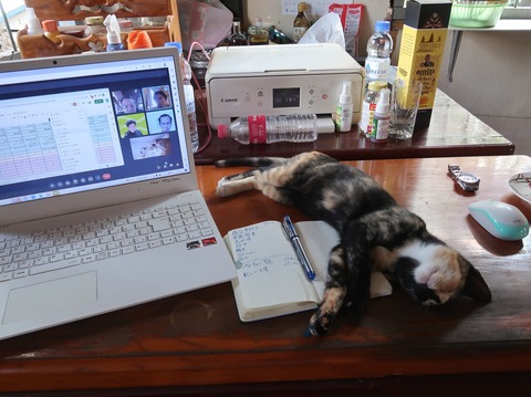 329919393_1337887210337078_1091902622999930915_n