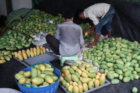 165719062_4011596518878757_4965524531691810326_n