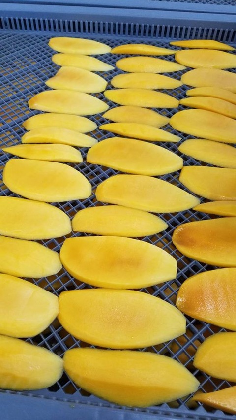 93186159_3032255706812848_1631543790965620736_o