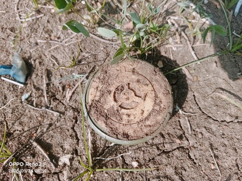 349153494_1243049959931230_5188824985608365227_n