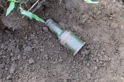 275814924_5140811129290618_7288704779354728754_n