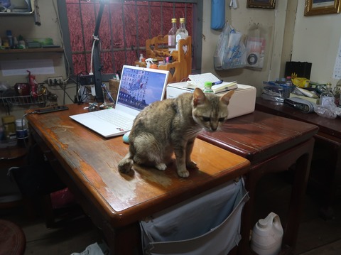 330095927_3442662099393621_6176599366627624273_n