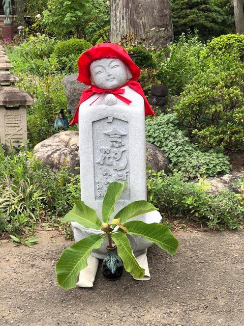 73316448_1548284931979077_6123511607516463104_n