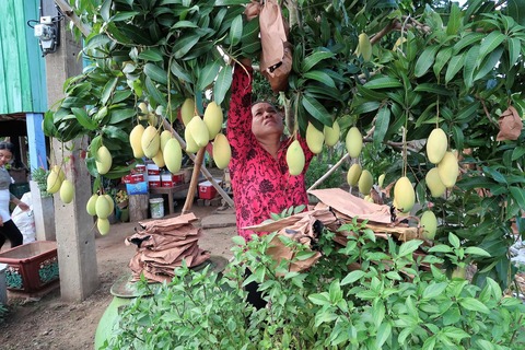 17855251_1369090119796090_4132979674537222993_o