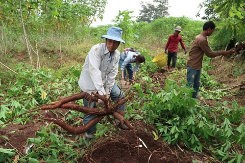 23275643_1580464141992019_4867307282222600603_o