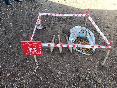 207000388_4302041739834232_1581113983169872768_n