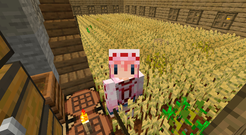 最高のマインクラフト 最高のマイクラ 魔女の家 猫