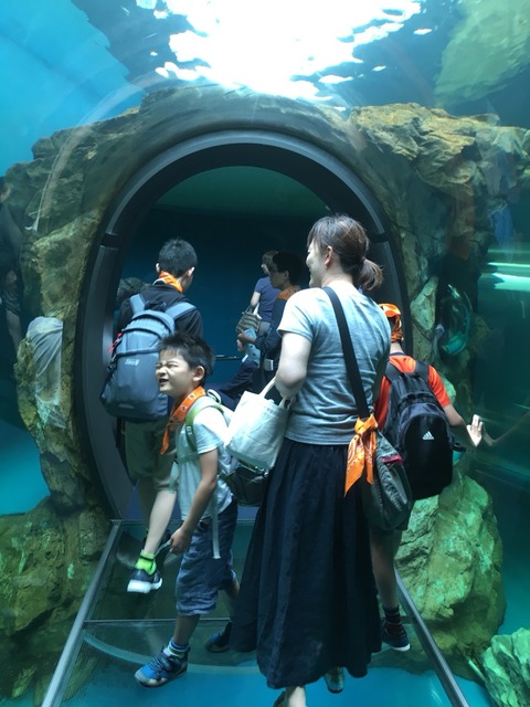 ダビンチ&エジソンしながわ水族館遠足_180812_0144