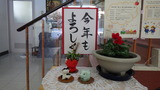 RIMG0577