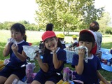 onigiri2