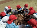 IMG_2022-05-10-10-49-01-166