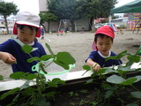RIMG7829