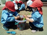 IMG_2022-05-10-10-59-49-056