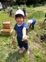 はんりちゃんじゃがいも