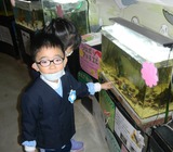 DSCN3774~3