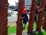 RIMG0349