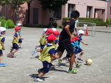 RIMG0985