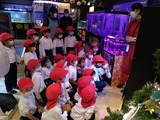 IMG_20201028_111631038