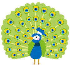 images - 2025-02-08T105612.009