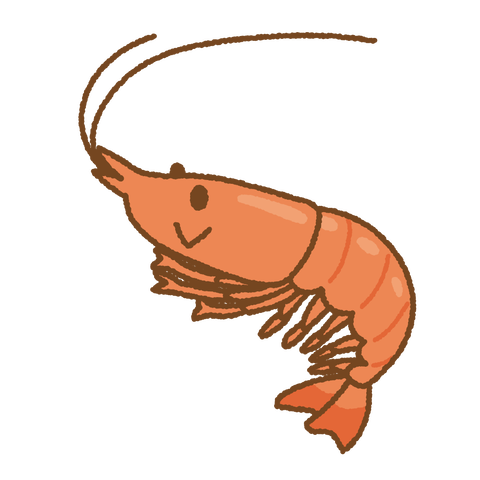 shrimp