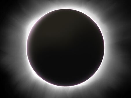 7317562e0d6dfbca7f6cd7a9a5a9d813_t