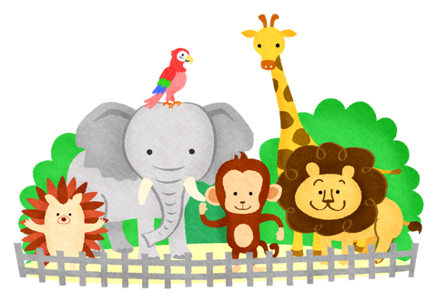 zoo