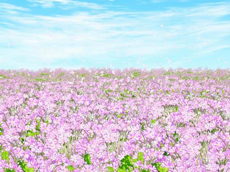 328ecb4510bacc4ae03917ee0fae7a8c_t