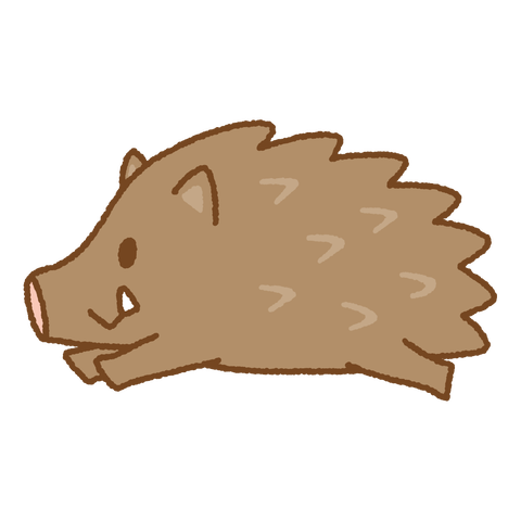 wild-boar