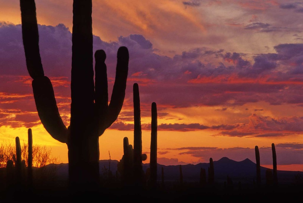 参考写真 Images Starry Night In Arizona Addicted 参考写真 Images Starry Night In Arizona Addicted