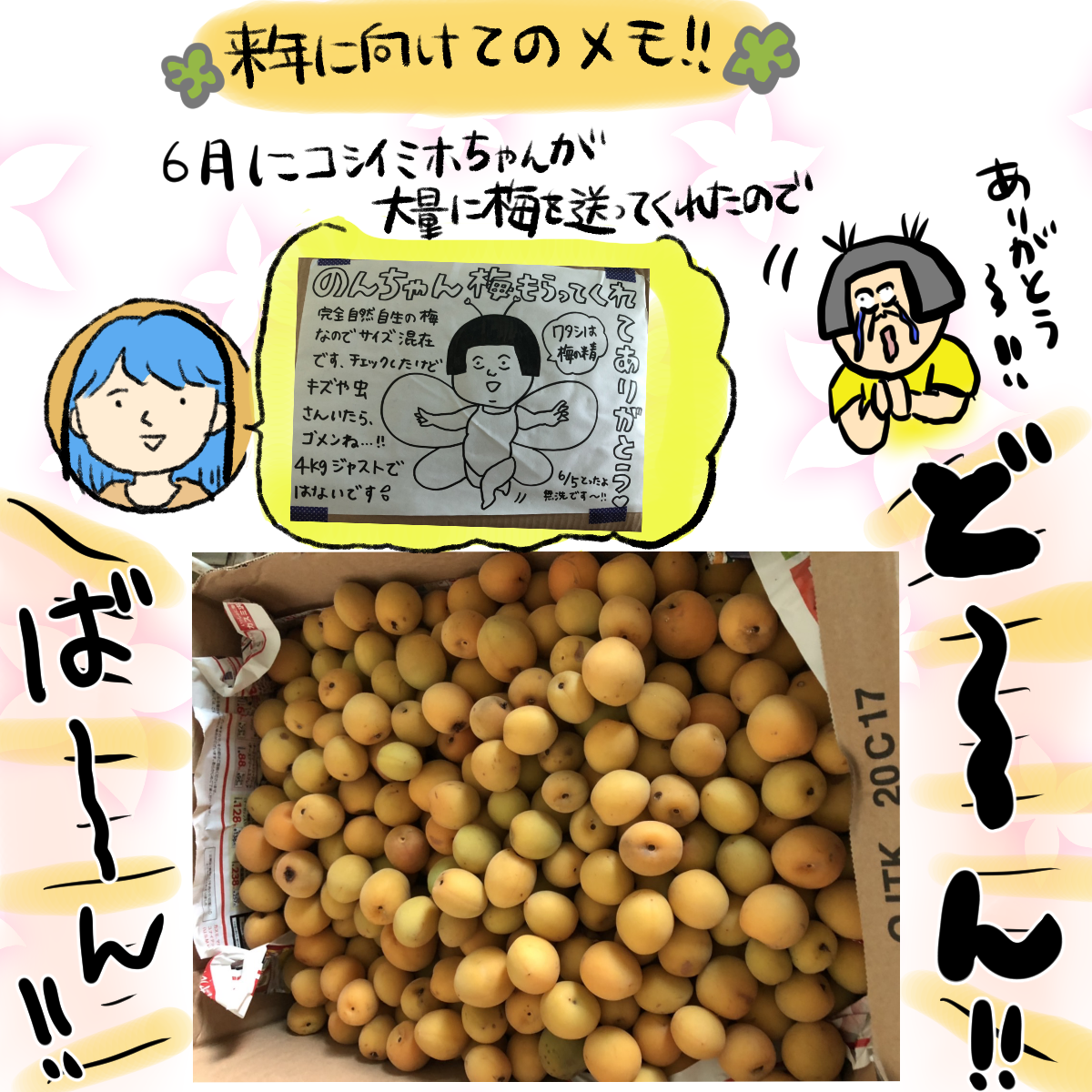 来年の私 ちゃんと覚えておくように 大盛のぞみでも毎日どうにかやってる Powered By ライブドアブログ 来年の私 ちゃんと覚えておくように 大盛のぞみでも毎日どうにかやってる Powered By ライブドアブログ