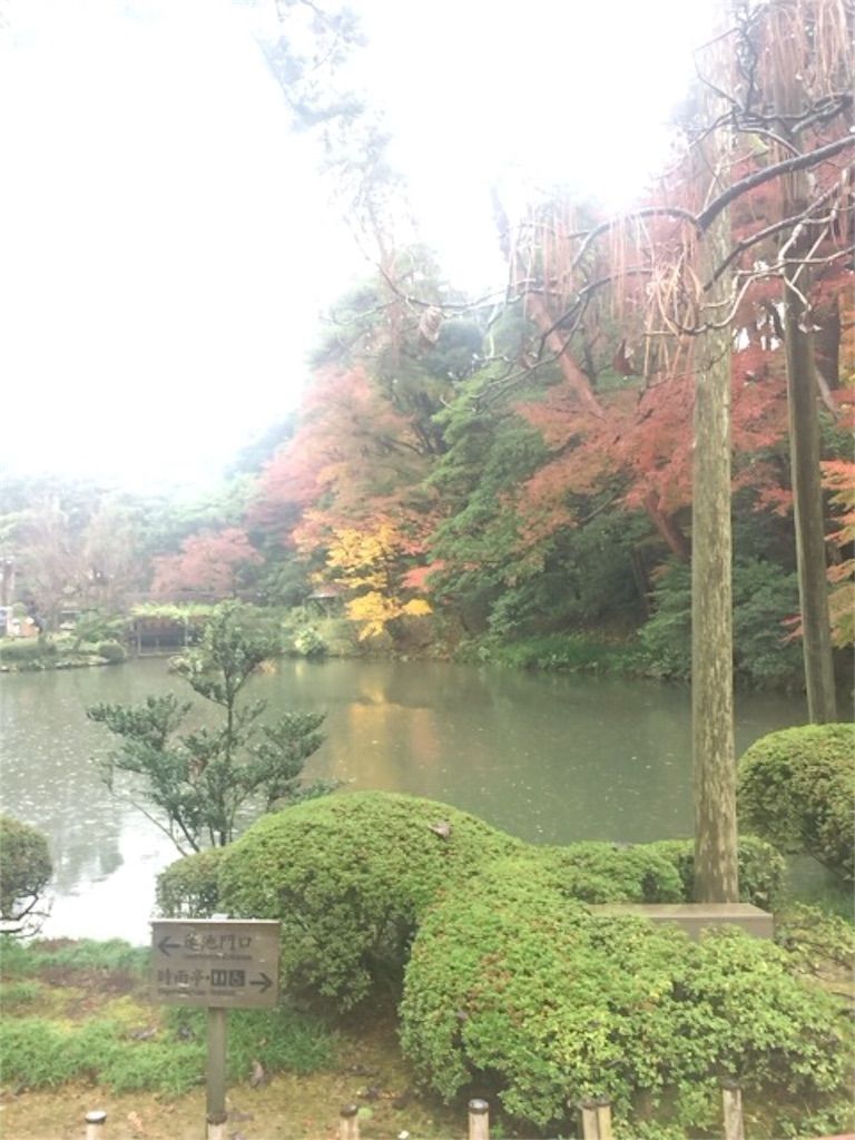 f:id:imoto07:20151119131549j:image f:id:imoto07:20151119131549j:image